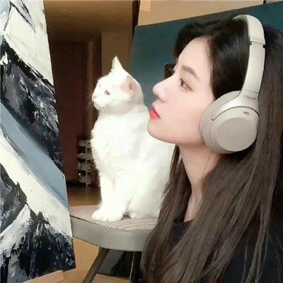狼与狮子